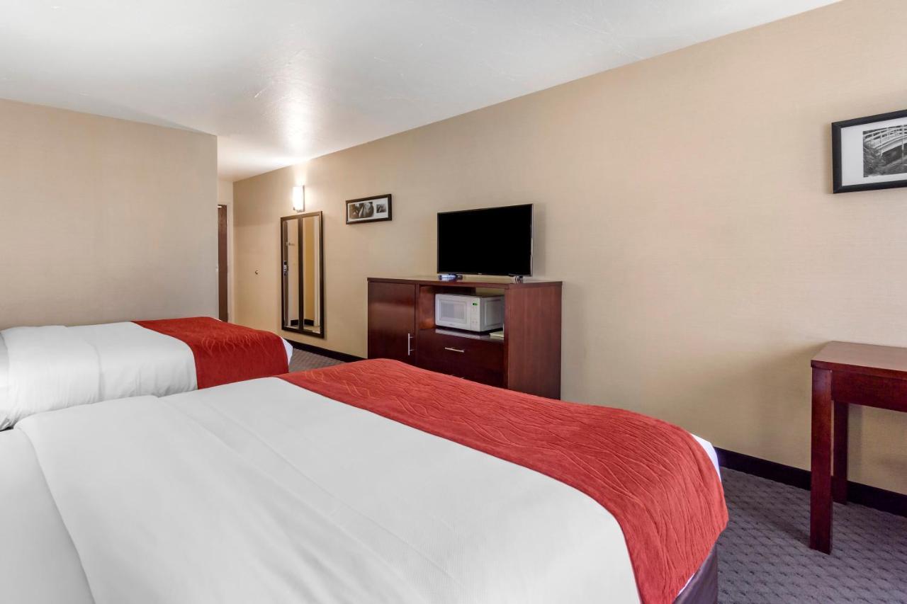 Comfort Inn Kent - Seattle Exterior foto