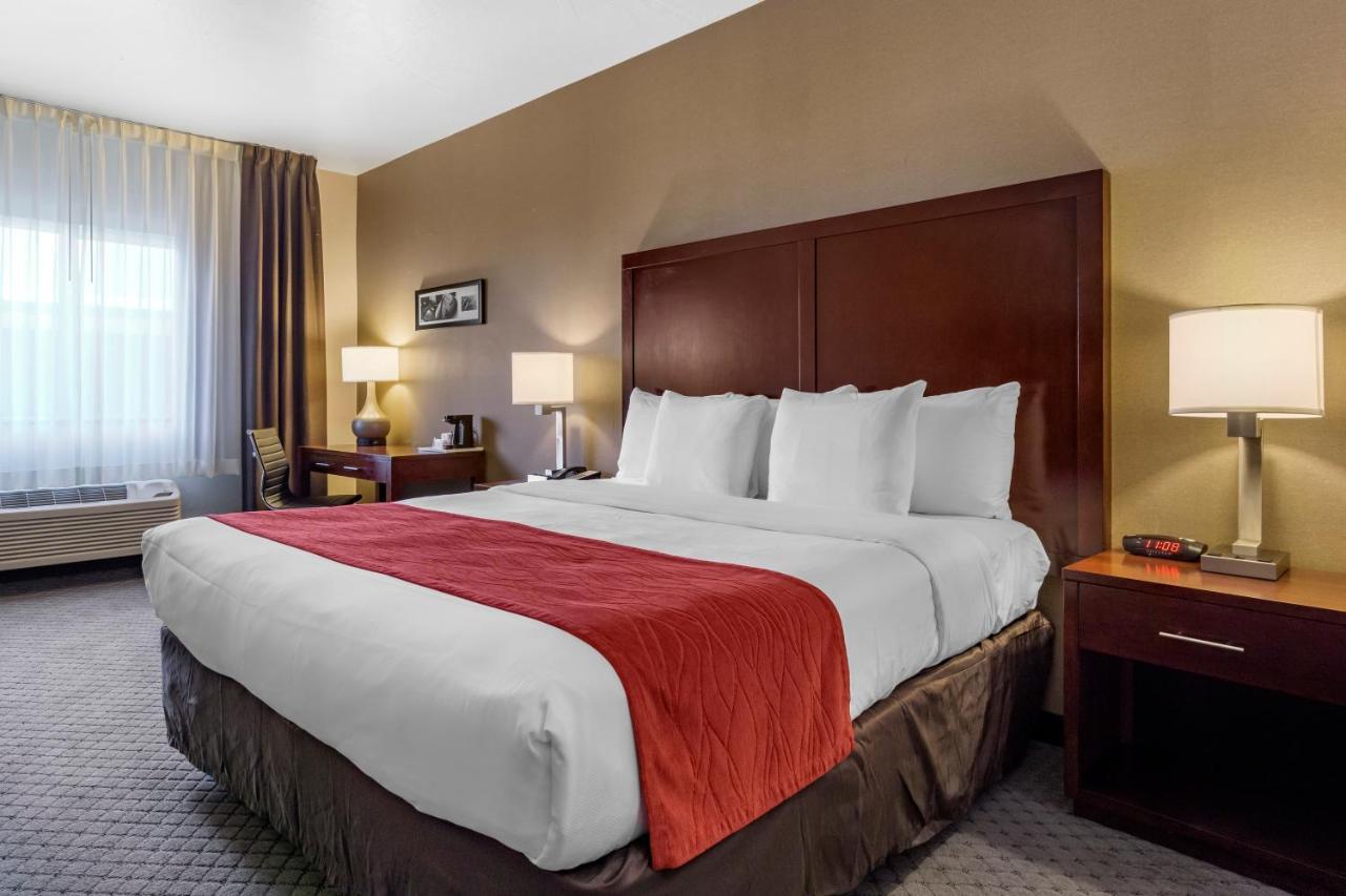 Comfort Inn Kent - Seattle Exterior foto